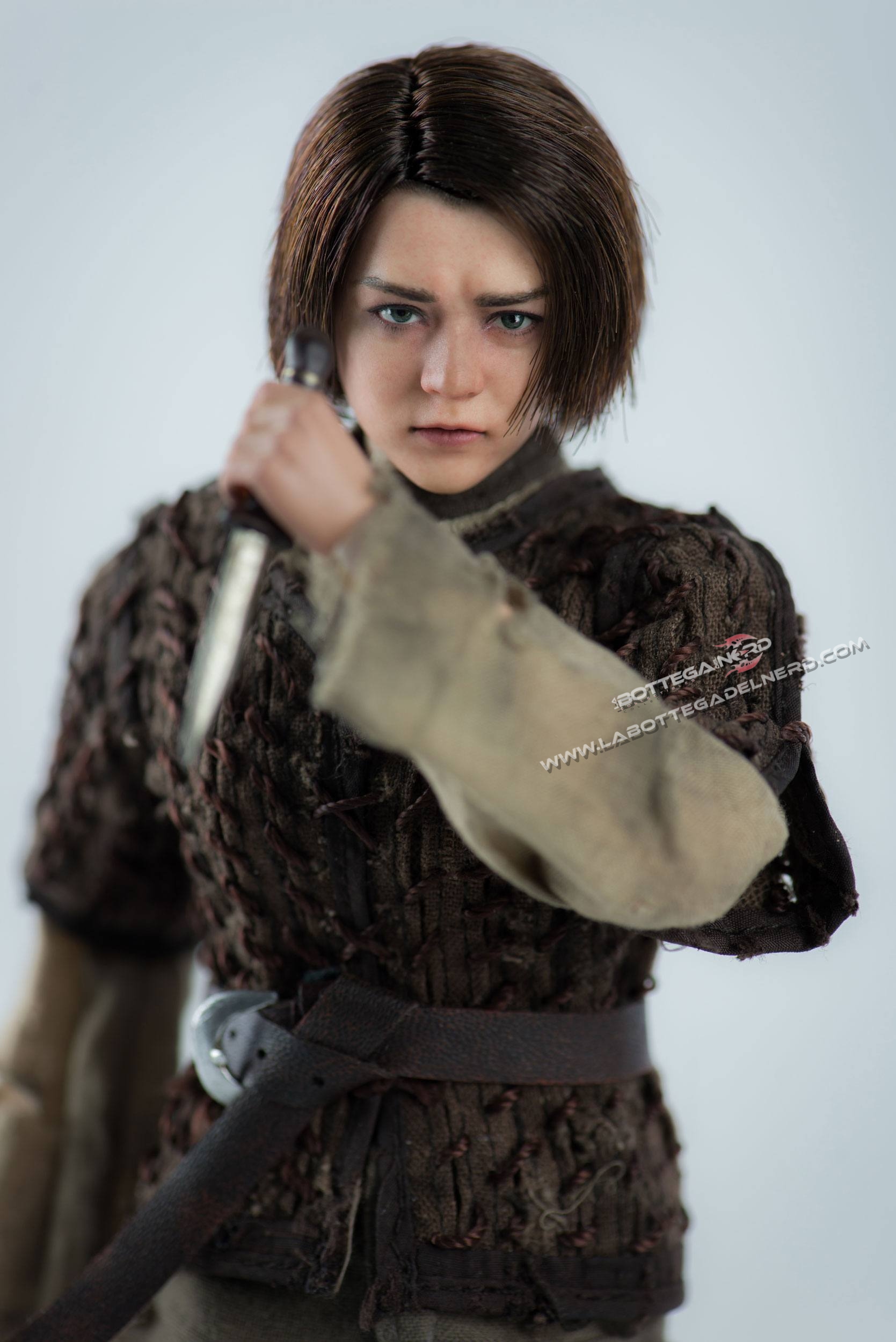 Arya 4