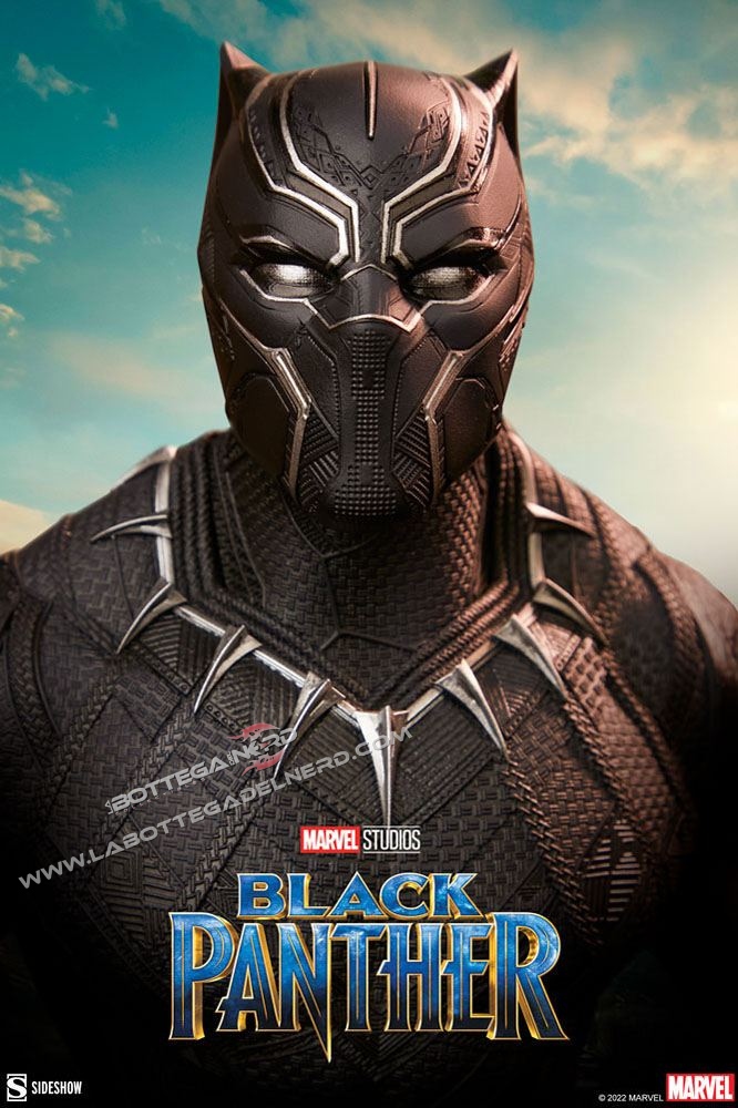 Black Panther 46