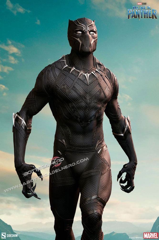 Black Panther 48