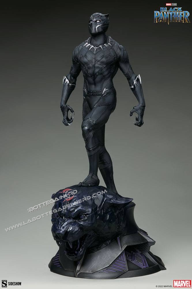 Black Panther 53