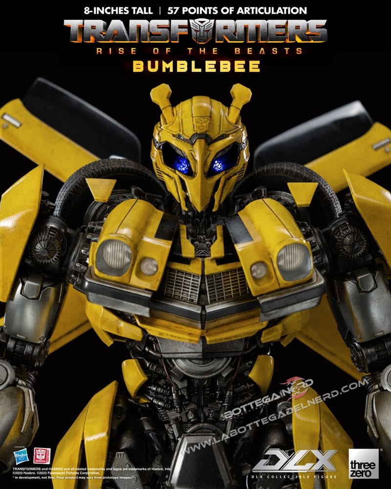 Bumble 34