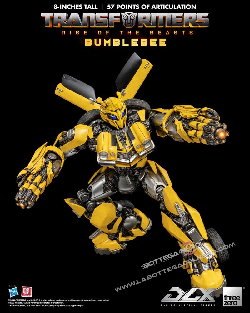 Bumble 41