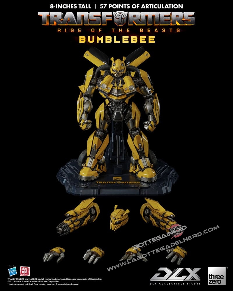 Bumble 43