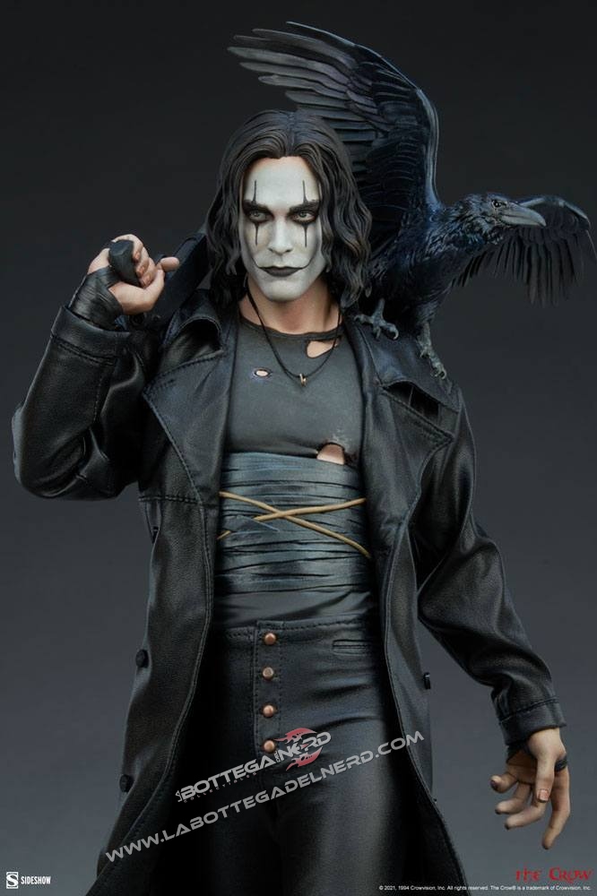 Crow 6