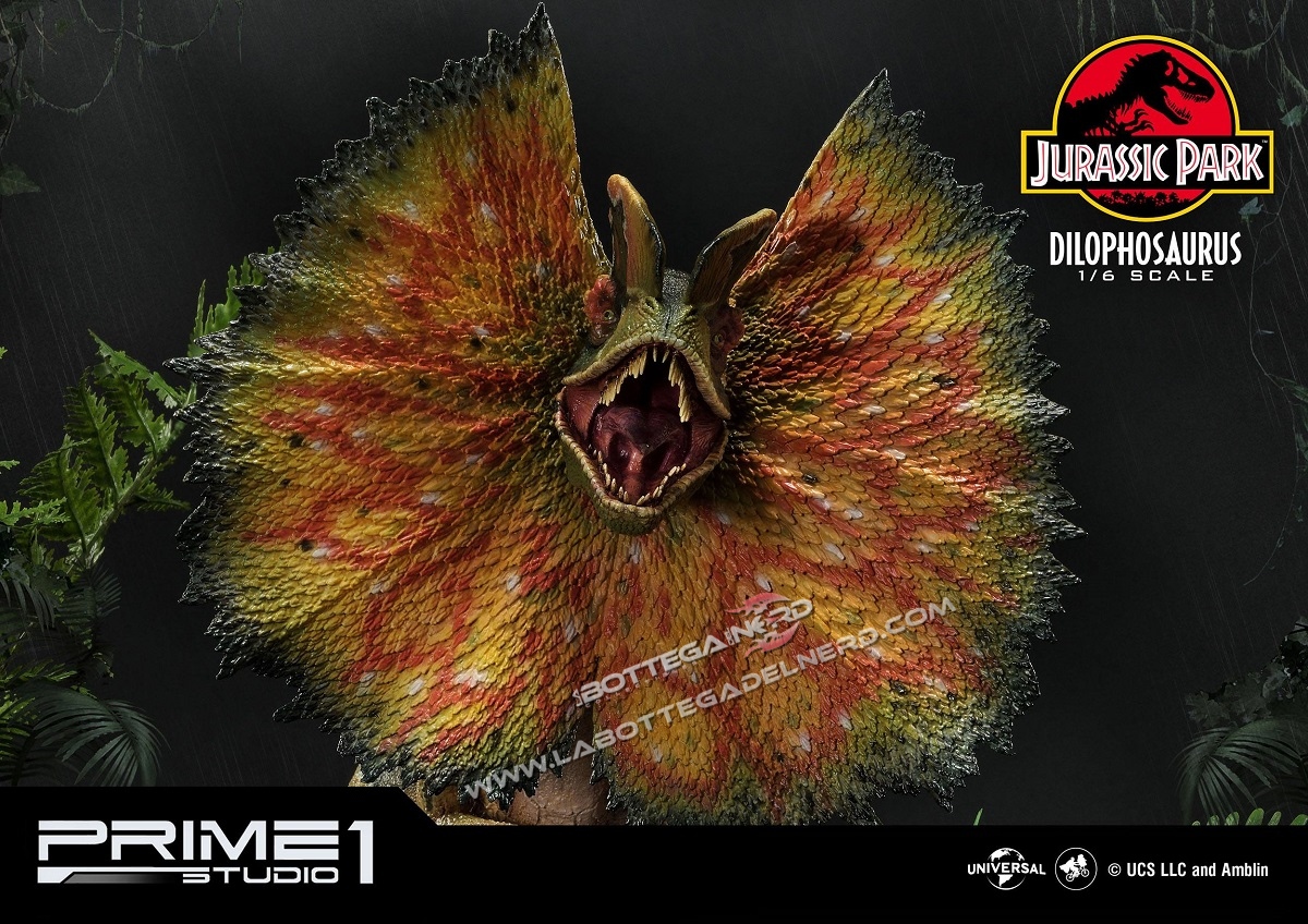 Dilophosaurus 3