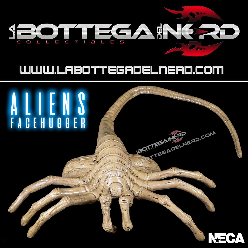 Facehugger 1 Aliens - Replica 1/1 Facehugger 105cm