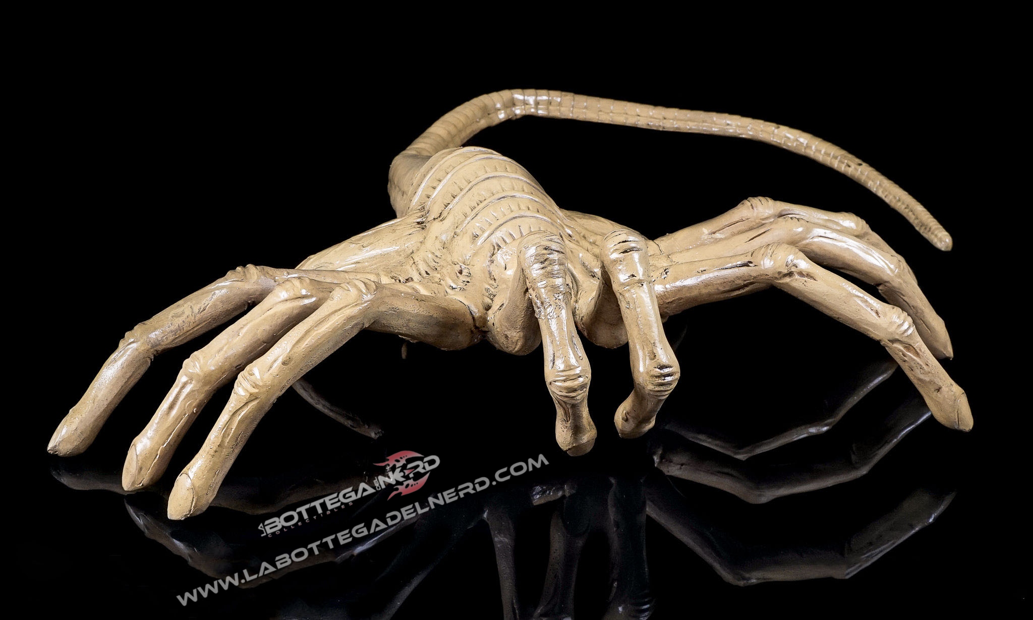 Facehugger 2