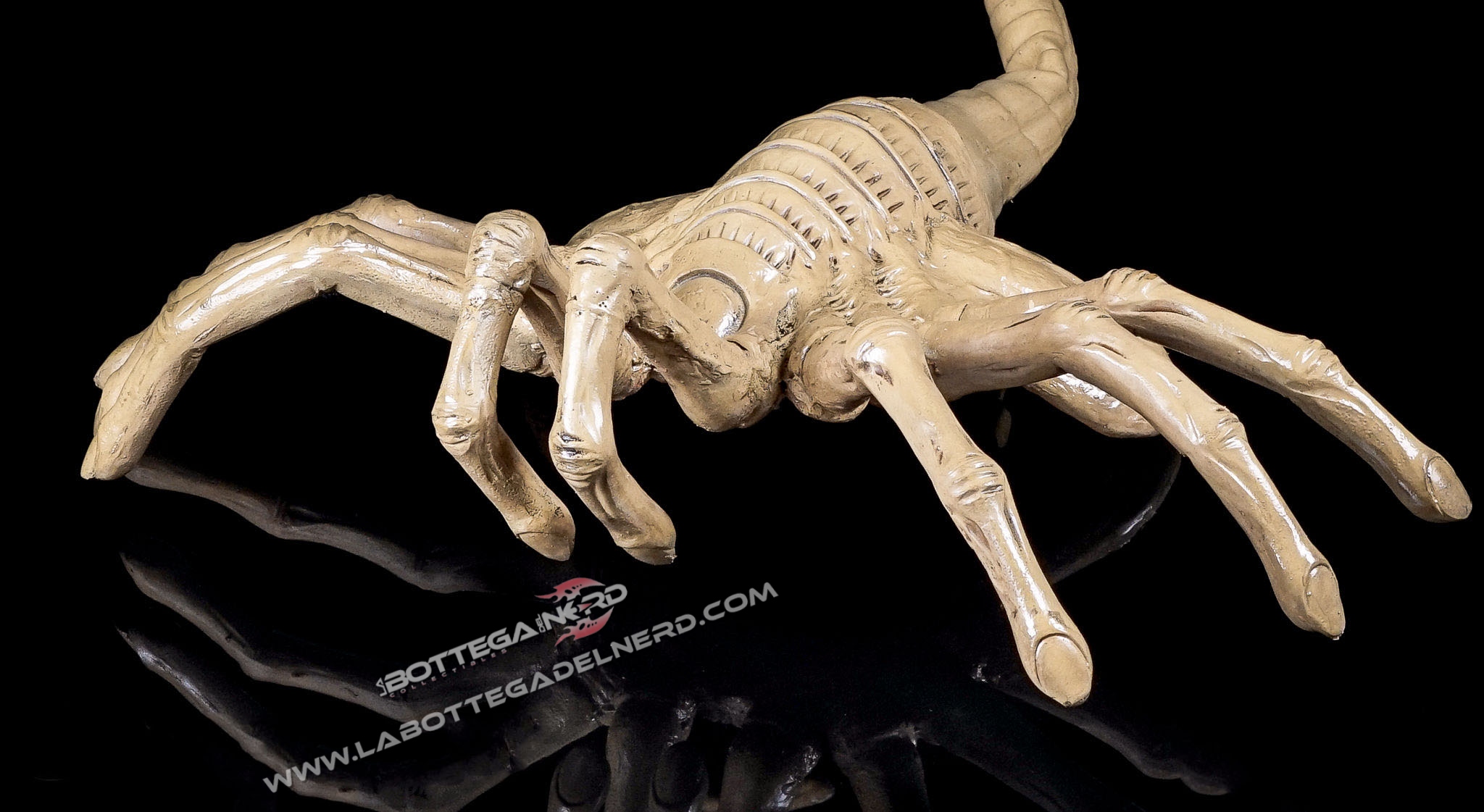 Facehugger 3