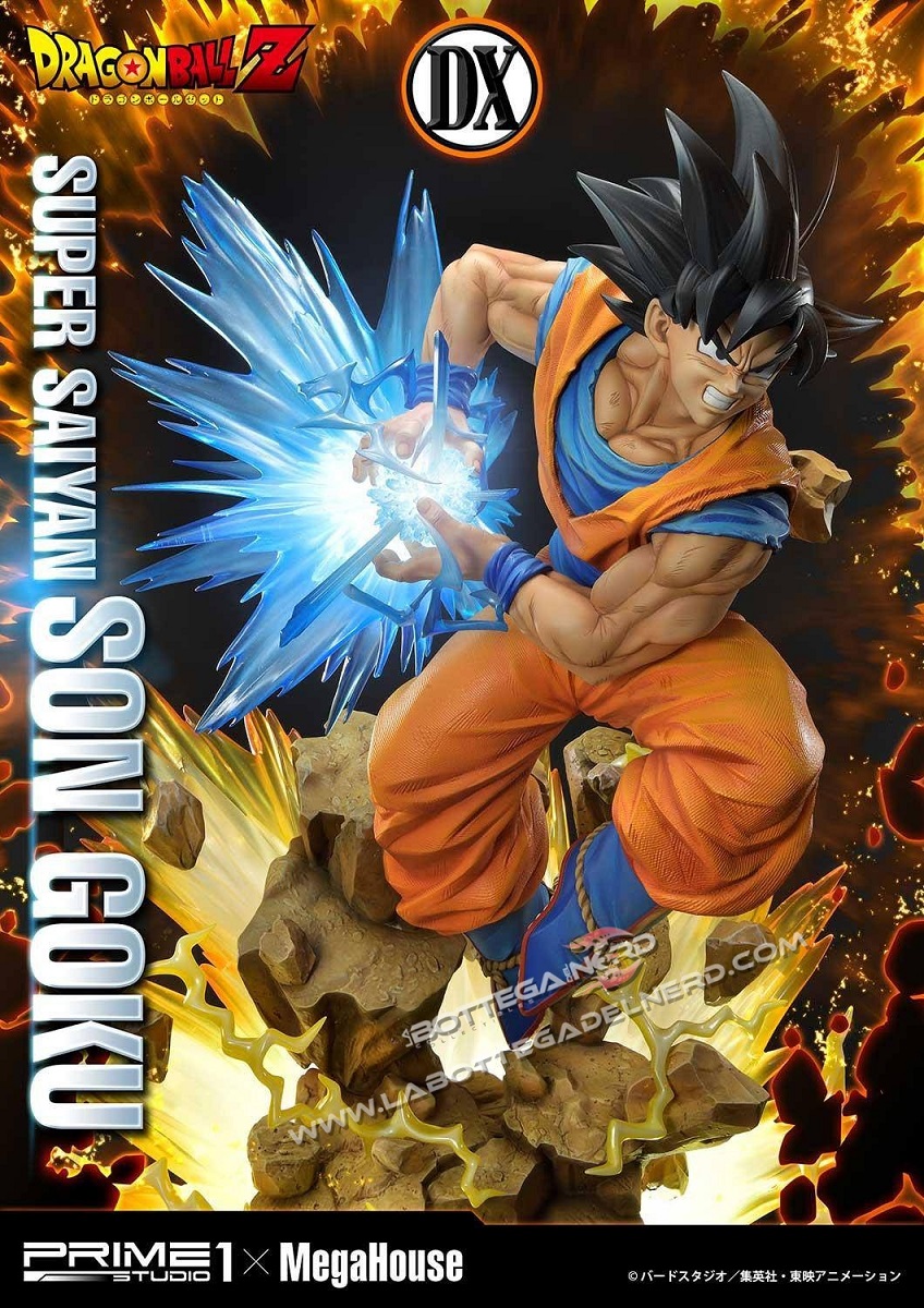 GOKU 14