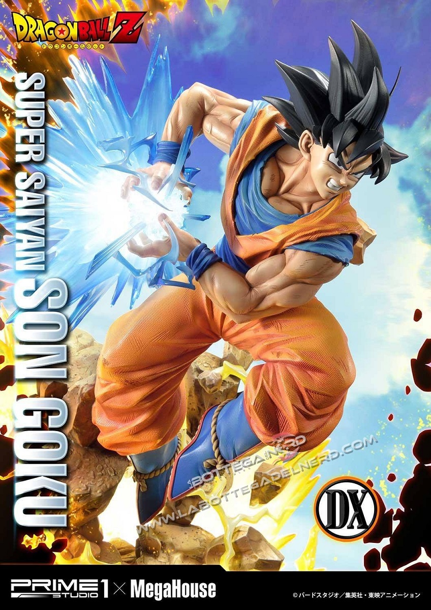 GOKU 17