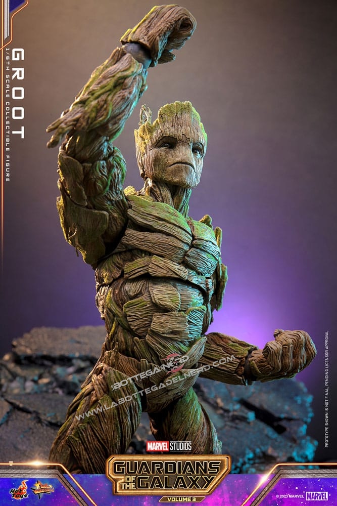 Groot 10