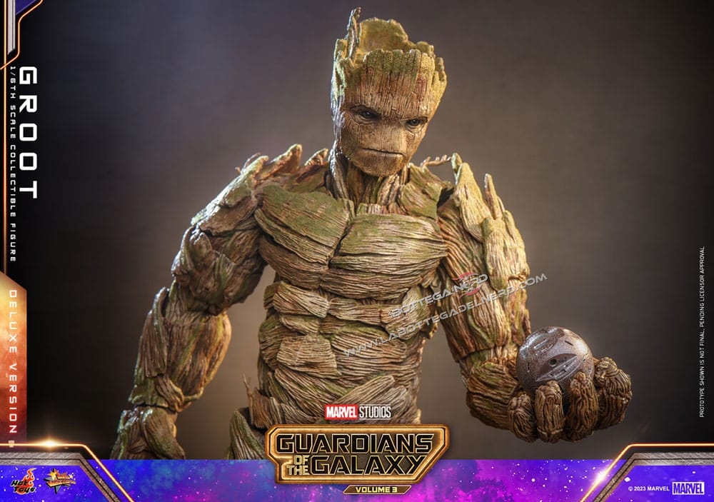 Groot 24