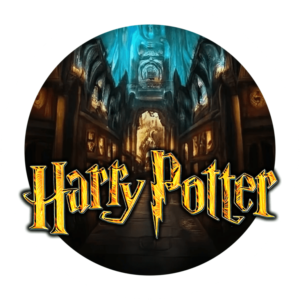 Categoria Harry Potter, Bacchette magiche e Oggetti di scena