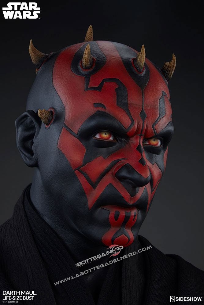 MAUL 29