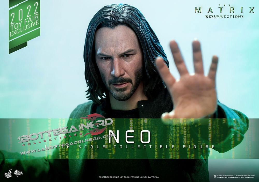 Neo 17