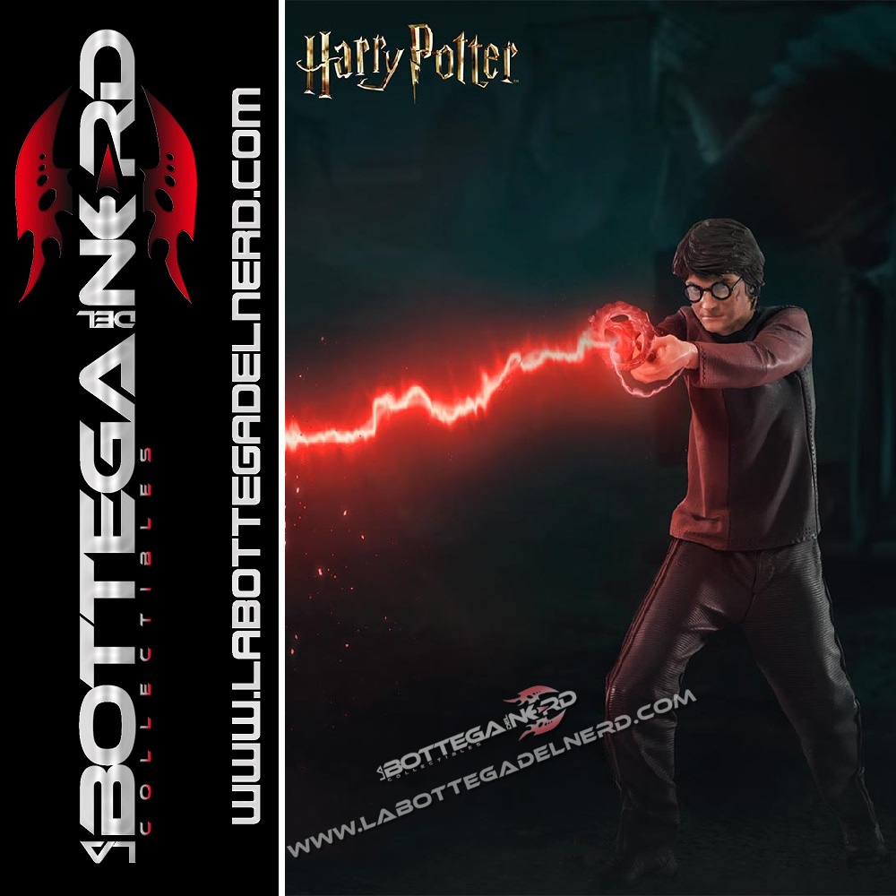 Potter 24 Harry Potter e il calice di Fuoco - Statue 1/10 Harry Potter 17cm