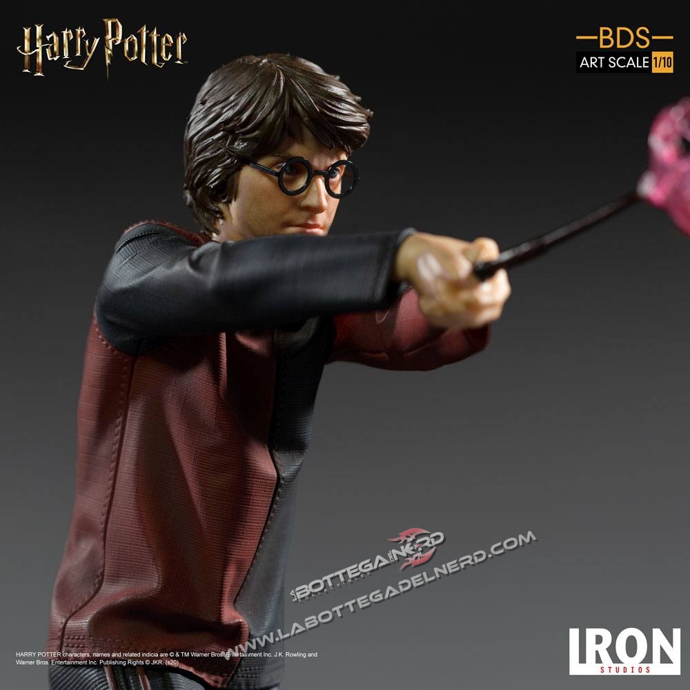 Potter 25