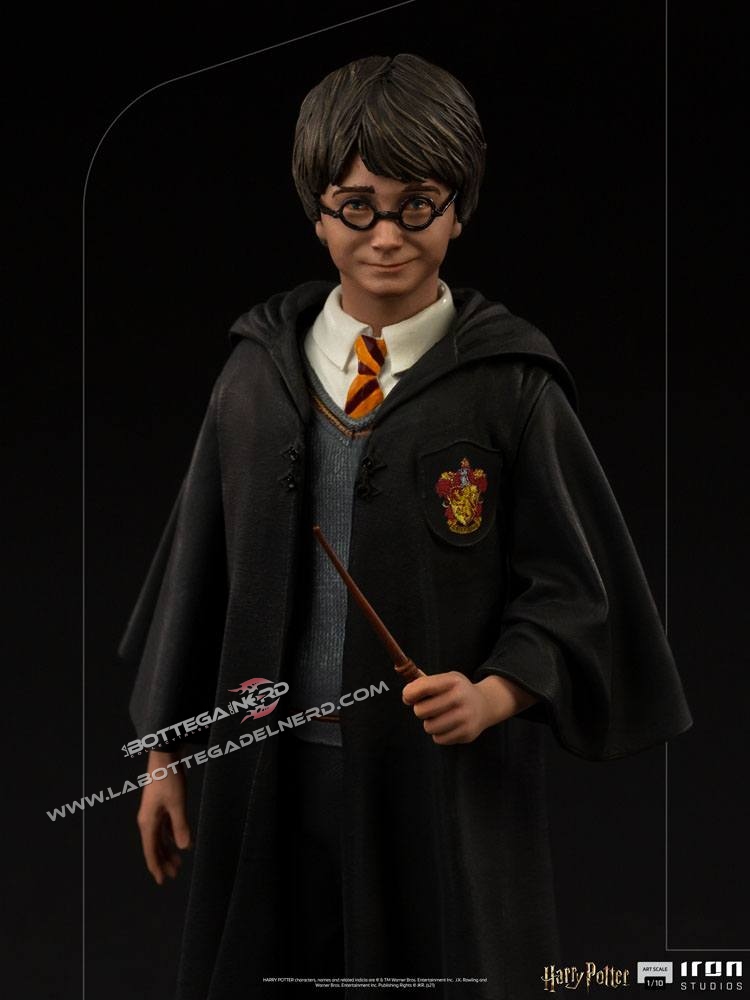 Potter 9
