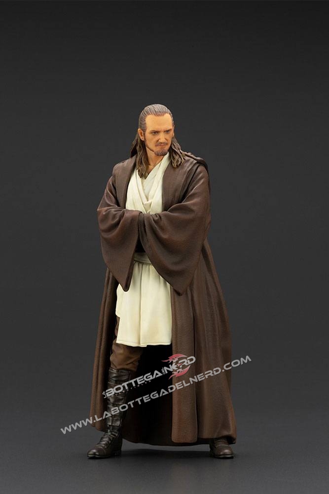 Qui-Gon 24