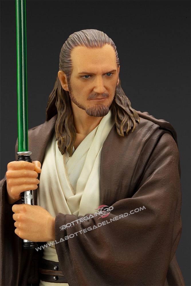 Qui-Gon 25