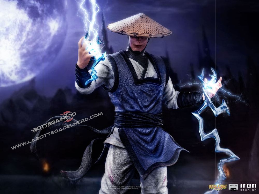Raiden 5