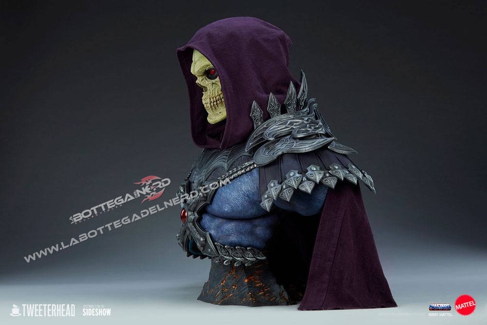 Skeletor 7