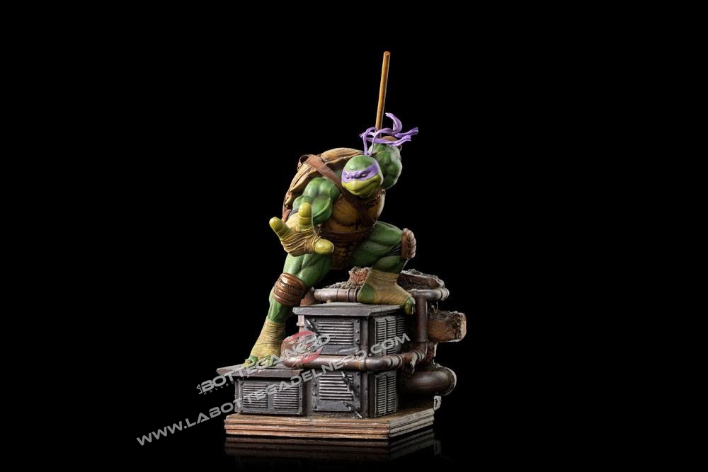 TURTLES 50