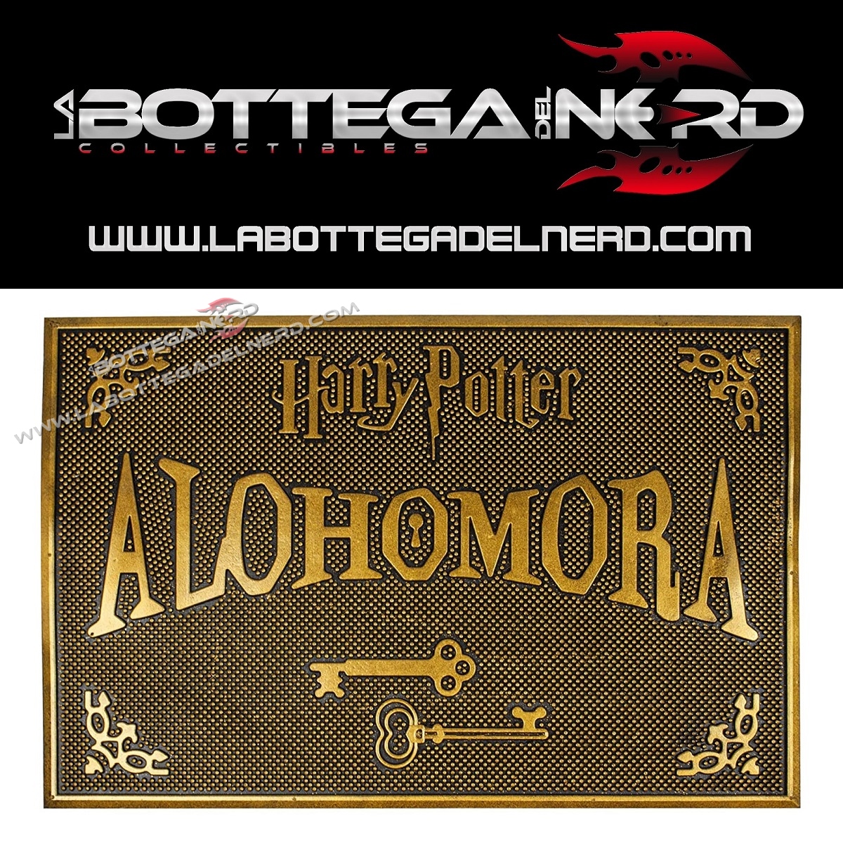 Tappeto 14 ZERBINO IN GOMMA - Harry Potter "AlohomorA" 40x60