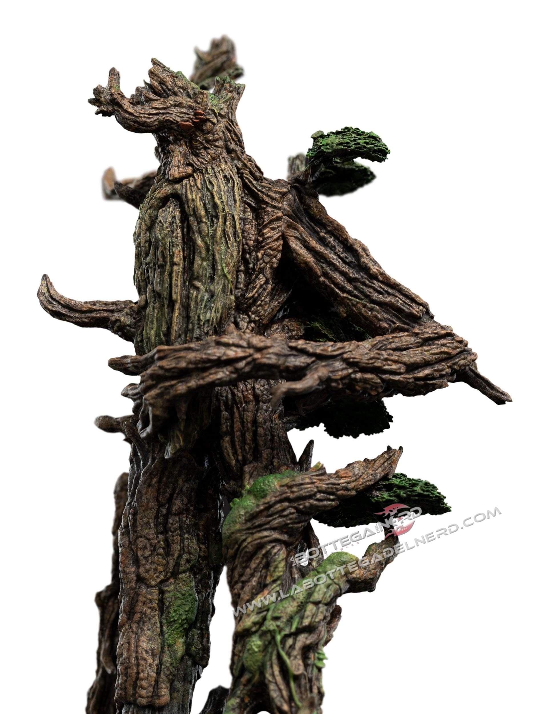 Treebeard 2