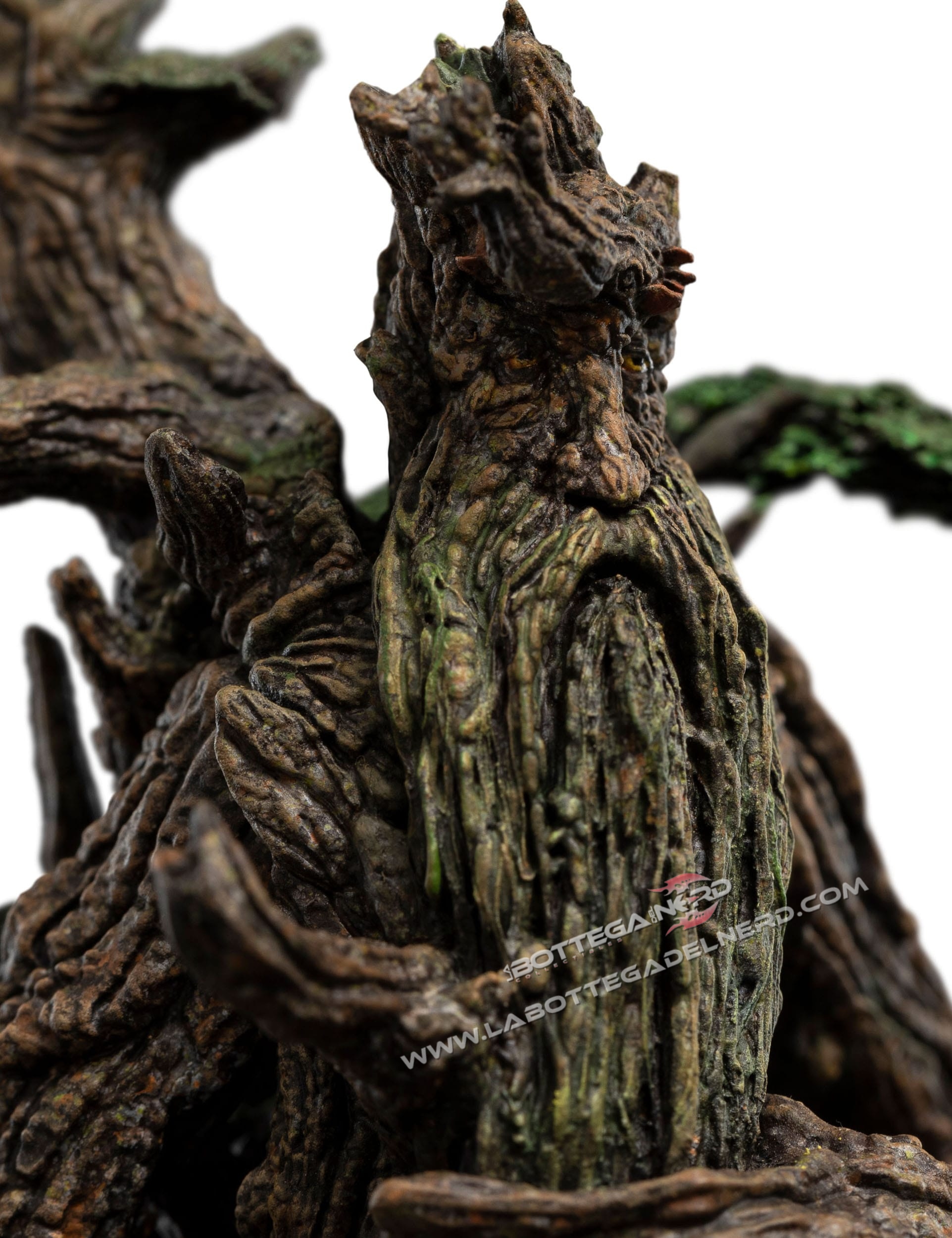 Treebeard 3