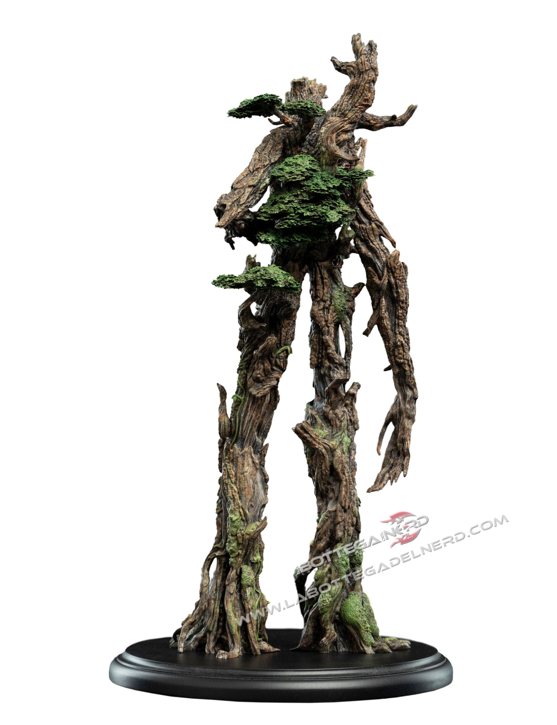 Treebeard 5
