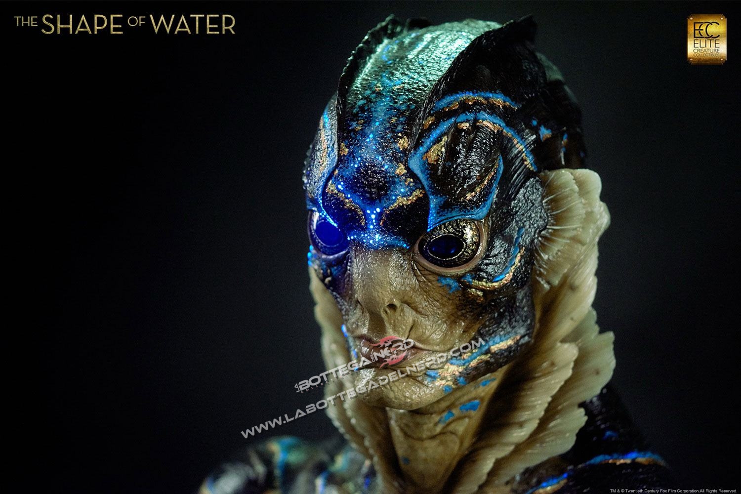 Water 10