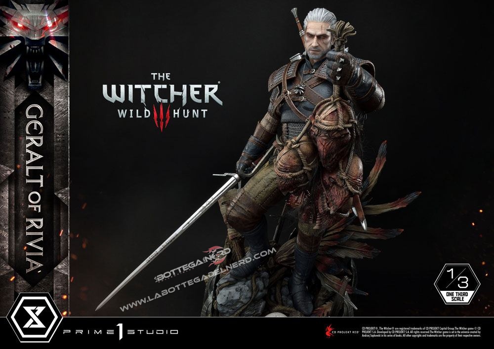 Witcher 24