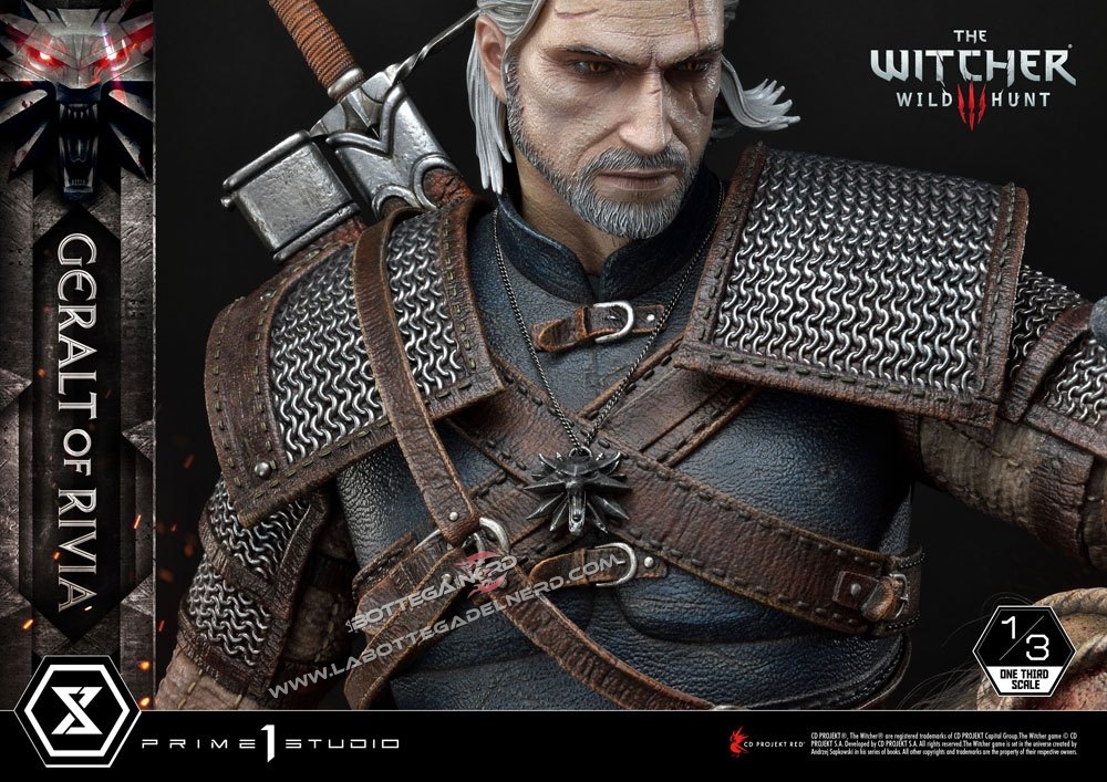 Witcher 25