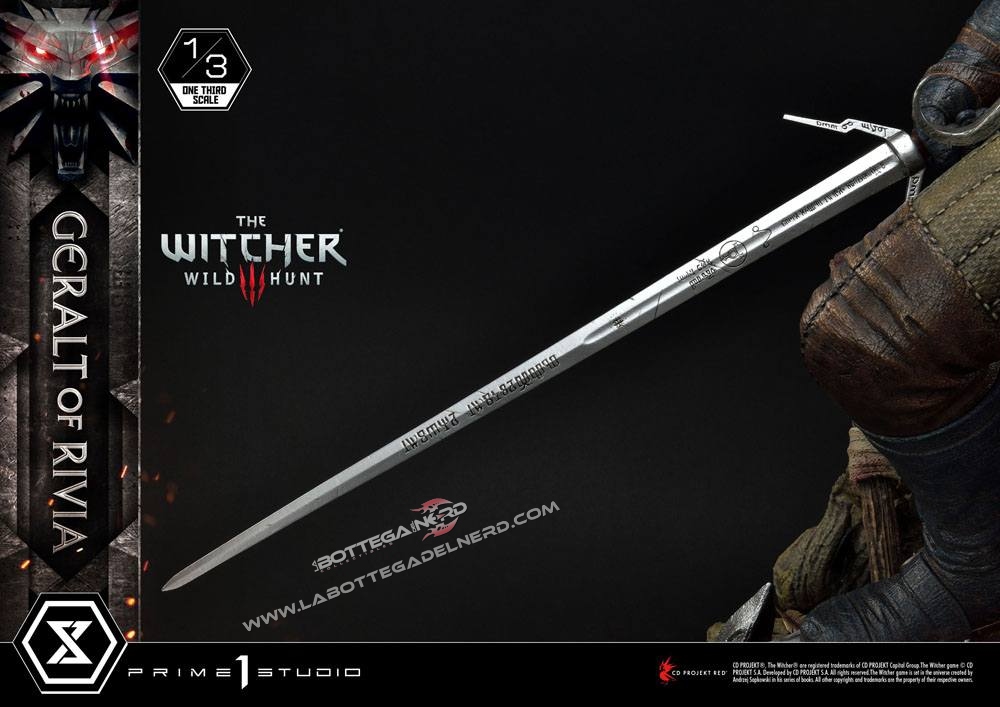 Witcher 29