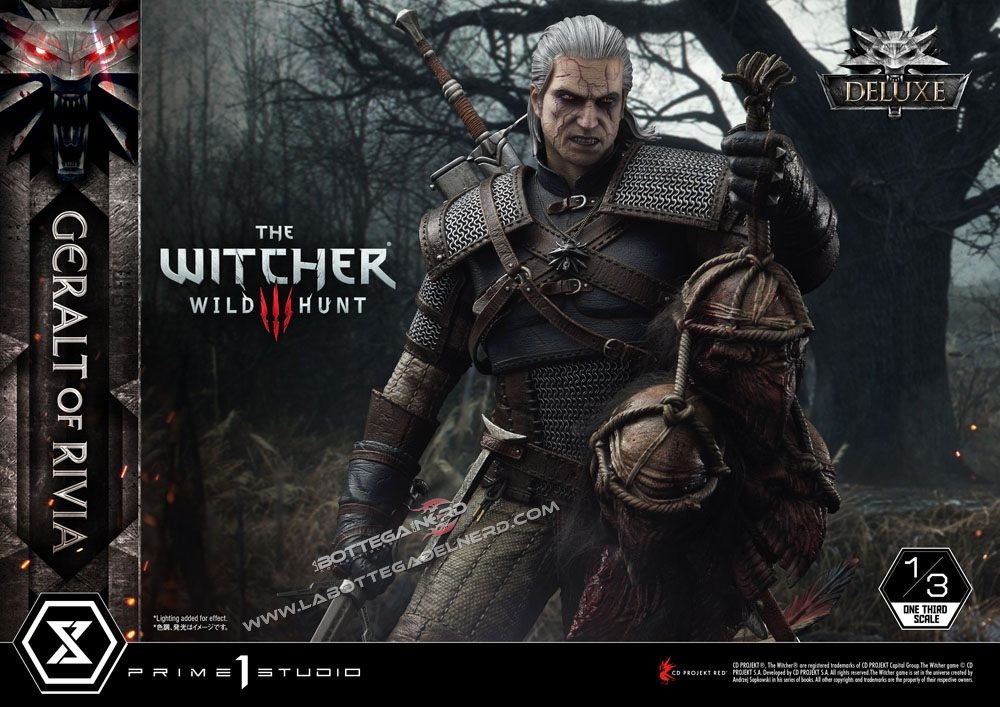 Witcher 34