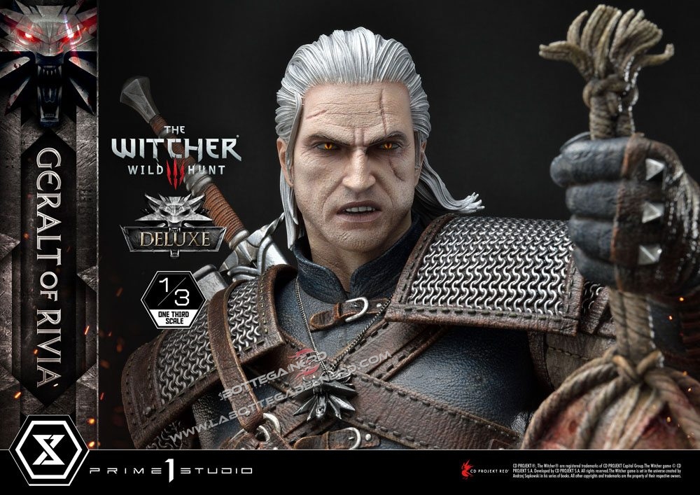 Witcher 36