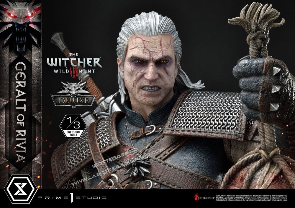 Witcher 37