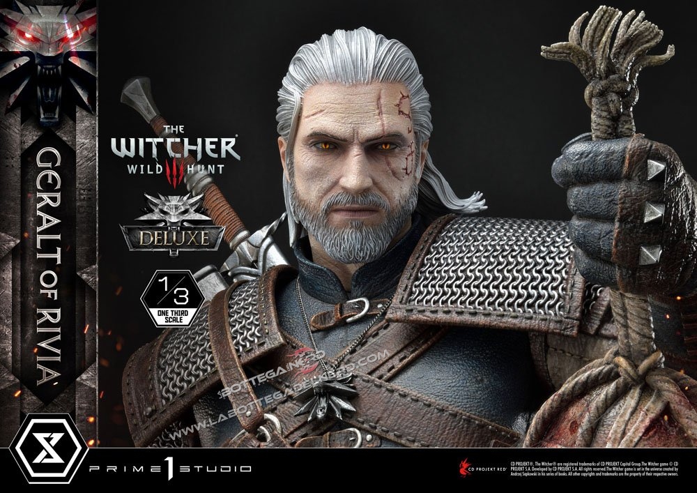 Witcher 38