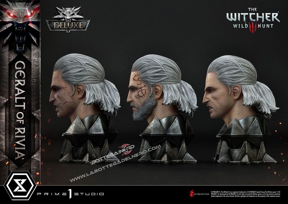 Witcher 40