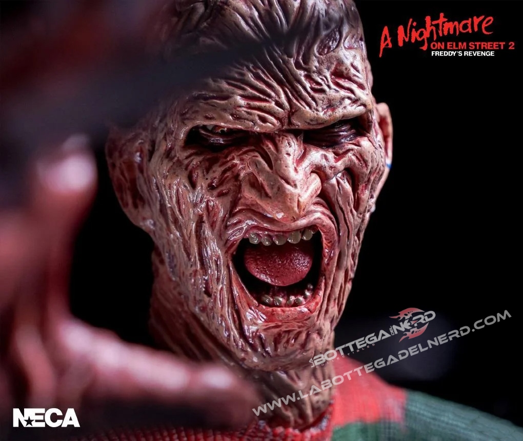 freddy-14-web